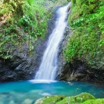 Grenada Waterfalls - Au Coin Falls Grenada